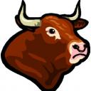 Good looking bull eh.
